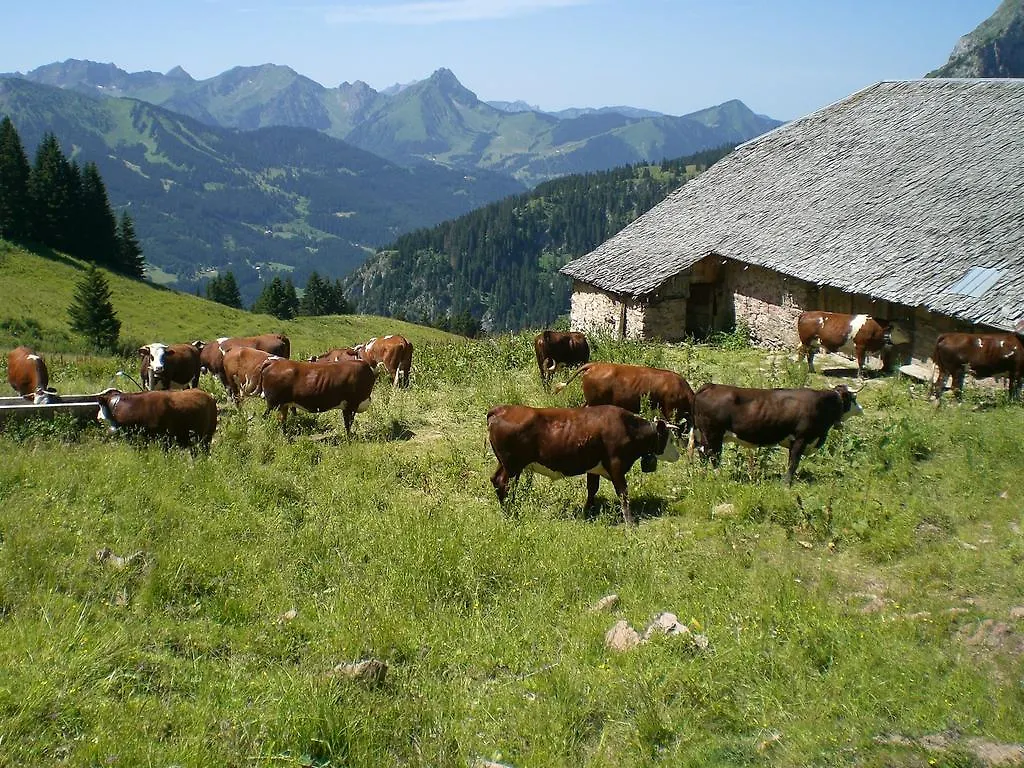 Bed & Breakfast Chambres D'Hotes L'Escalade La Chapelle-d'Abondance France